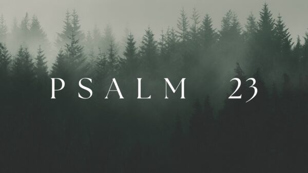 Psalm 23 - Week 5 Image
